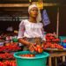 Building sustainable food supply systems