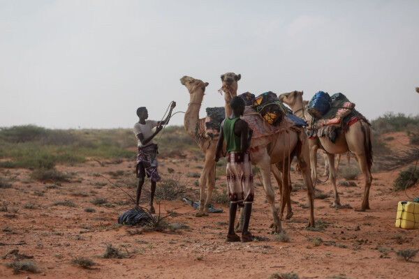 418 71 Pope urges help for drought-hit Somalia