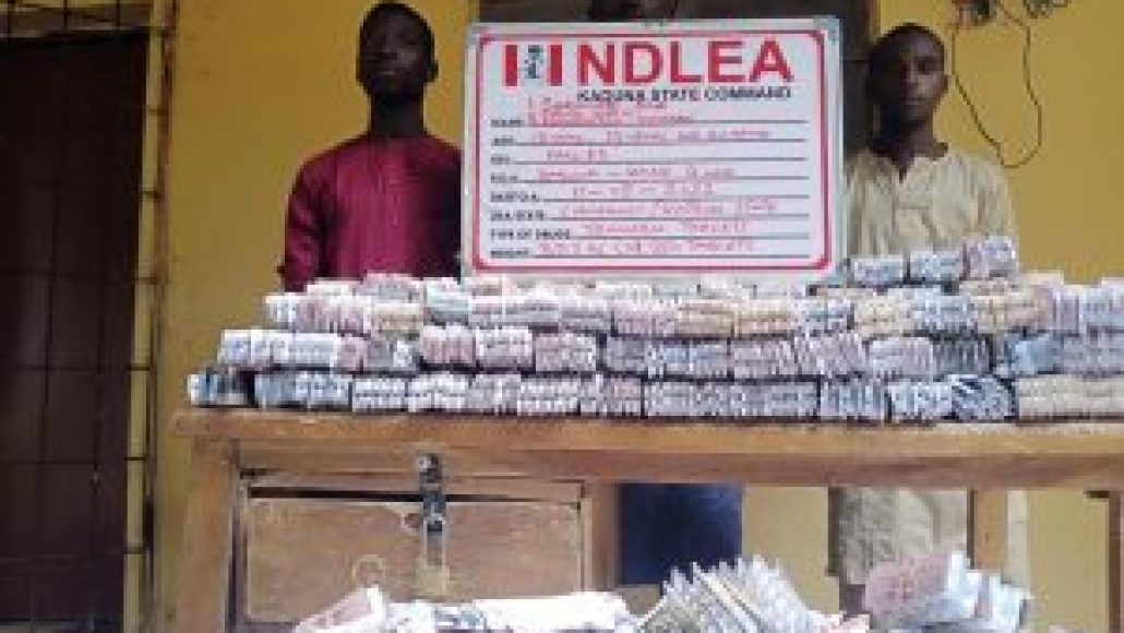 ndlea 1 1030x580 1 NDLEA intercepts 1.1m Tramadol tabs in Kaduna, others in Lagos, Kano