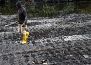Ex-Deputy Speaker, others lament Ogoni marginalisation