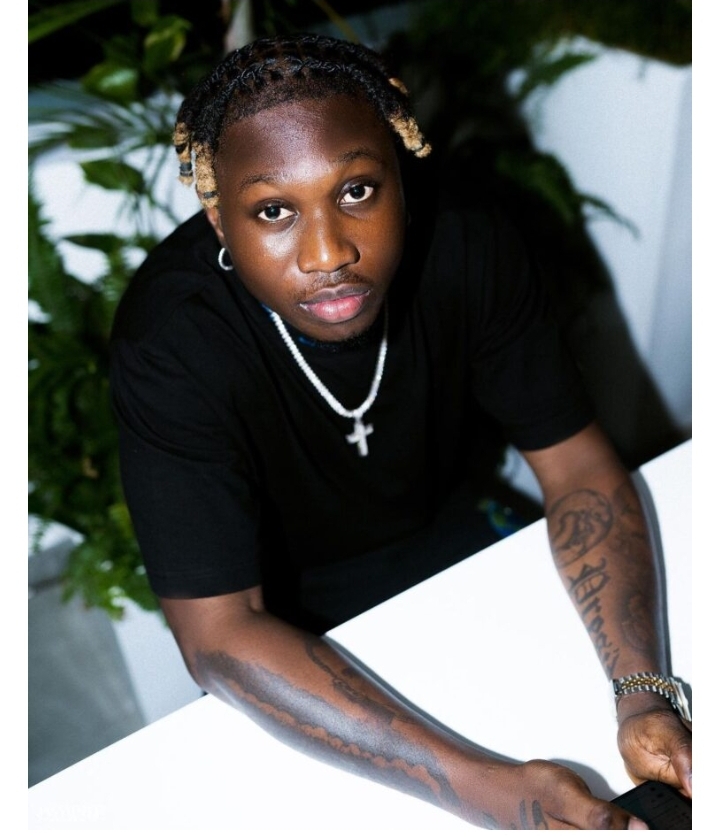 Video captures moment Nigerian rapper, Zlatan fought off a fan for trying to steal from him at a concert (WATCH)