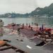 People stand on the roofing of collapsed shops in the port after a 5.1-magnitude earthquake in Jayapura, Indonesia’s eastern province of Papua on February 9, 2023. (Photo by FAISAL NARWAWAN / AFP)