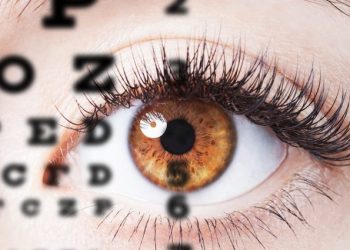 Eye Health: Foods And Their Benefits For Your Eyes