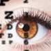 Eye Health: Foods And Their Benefits For Your Eyes
