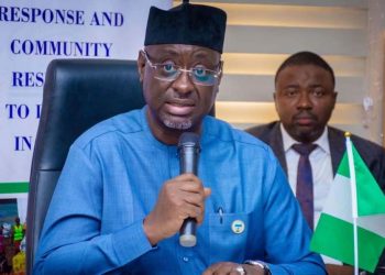 Director General of the National Emergency Management Agency (NEMA) Mustapha Habib Ahmed PHOTO:Twitter