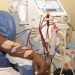 World Kidney Day: 45,000 Nigerians die yearly due to kidney failure