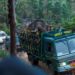 This picture taken on April 29, 2023, shows forest officials transporting ‘Arikomban’ the wild elephant, at Idukki district in India’s Kerala state. (Photo by Shiyami / AFP)