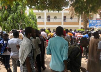 13 buses carrying 1,500 Nigerians now close to Egypt – Abike Dabiri-Erewa