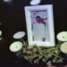 An activist places candles around a picture of Tangaraju Suppiah during a vigil for him at a private office in Singapore, 26 April 2023. Photo credit: EFE-EPA