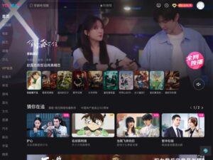 Alibaba Considering Video Platform Alternatives Tudou and Youku 1 Alibaba considering video platform