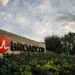 EU to Approve Broadcom-VMware Transaction on Wednesday