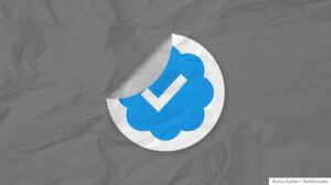 Twitter admits to Verified spammer 