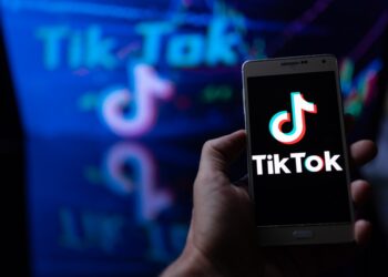 TikTok search results ads
