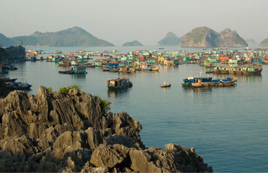 Philippines condemns Chinese boats’ ‘illegal’ actions in South China Sea 1 Ha Long Bay Houseboats Gulf of Tonkin 924x598 1 Philippines condemns Chinese boats’ ‘illegal’ actions in South China Sea