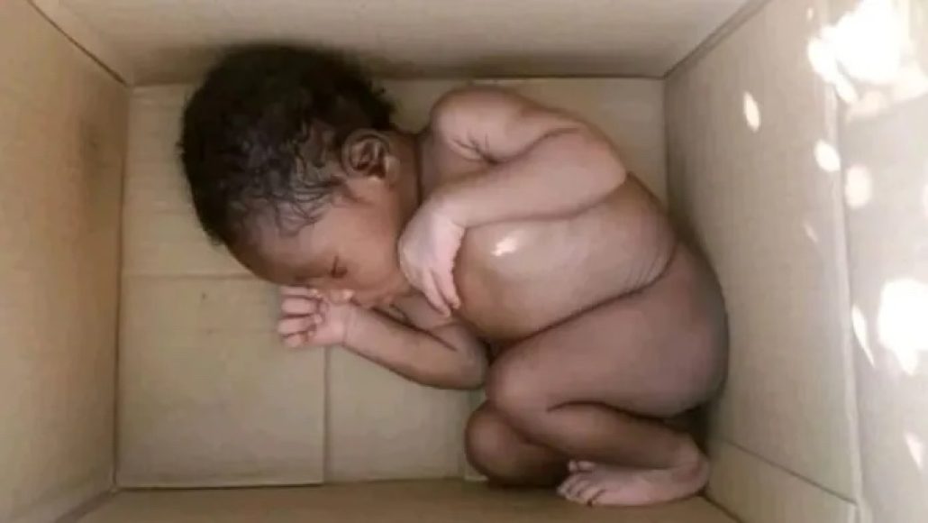 Farmer discovers newborn baby dumped in Jigawa Nigeria farm