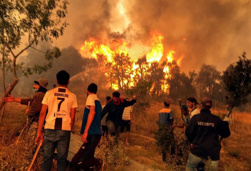 Death sentences for 38 over Algeria fires volunteer lynching
