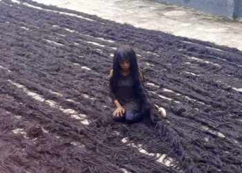 Guinness World Record For Longest Handmade Wig PHOTO: X/@GWR