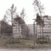 View taken on April 27, 2015 shows the headquarters under construction of the German Intelligence Service (BND) in Berlin. The German chancellor's office has known since 2008 of US economic espionage targeting European firms such as Airbus but did not react, Germany's Bild daily said, citing intelligence agency documents. The US' National Security Agency (NSA) sought to spy on companies in Europe via the German BND foreign intelligence agency's monitoring station at Bad Aibling in southern Bavaria state, the mass circulation newspaper said.         AFP PHOTO / DPA / JOERG CARSTENSEN   +++   GERMANY OUT (Photo by Jörg Carstensen / DPA / AFP)