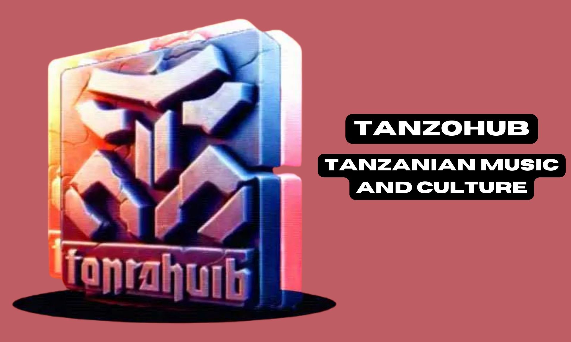 Tanzohub